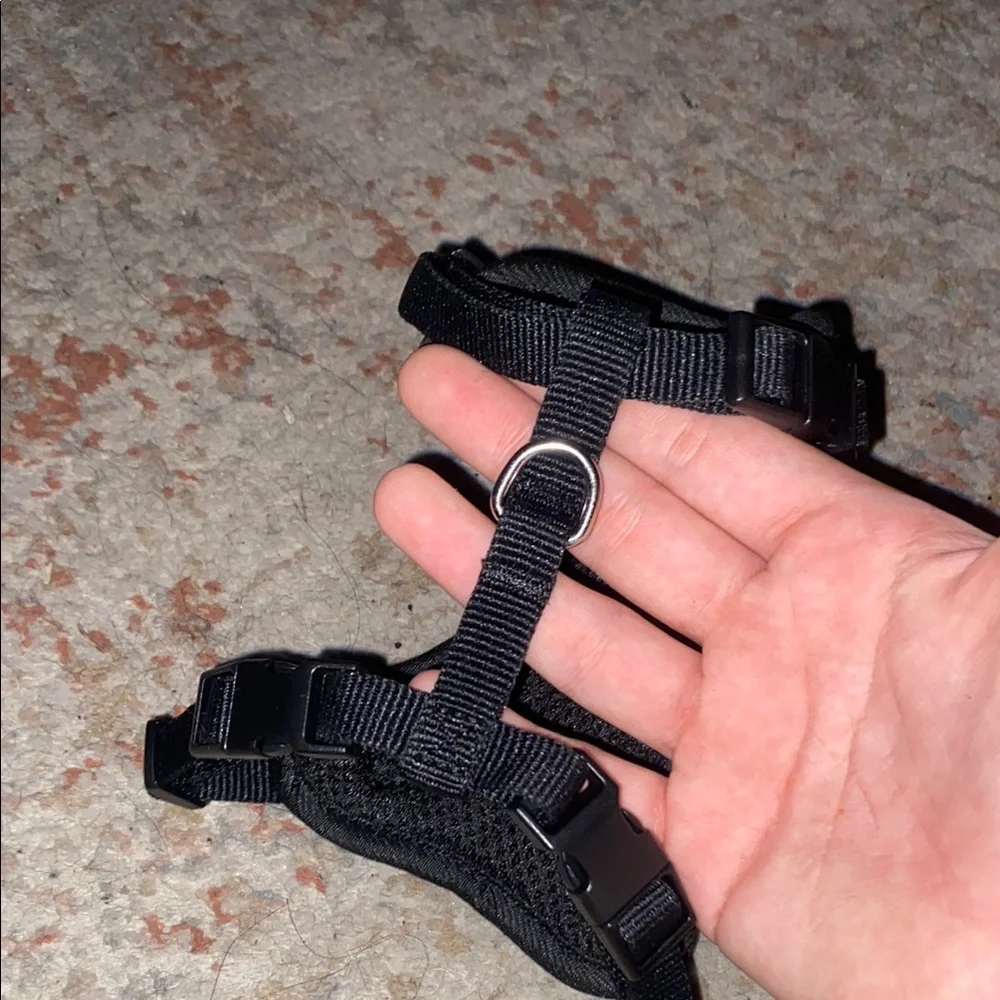 Black Cat Pet Harness